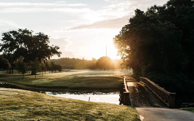 brandon-williams-mwX13QqAM5s-unsplash