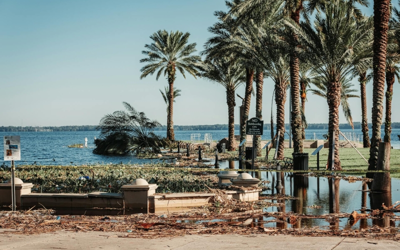 pexels-alteredsnaps-13865771