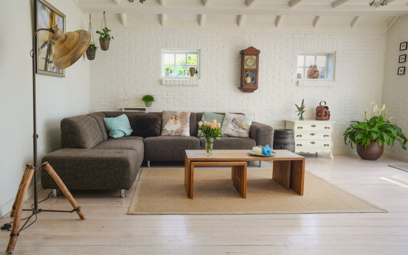 pexels-skitterphoto-584399